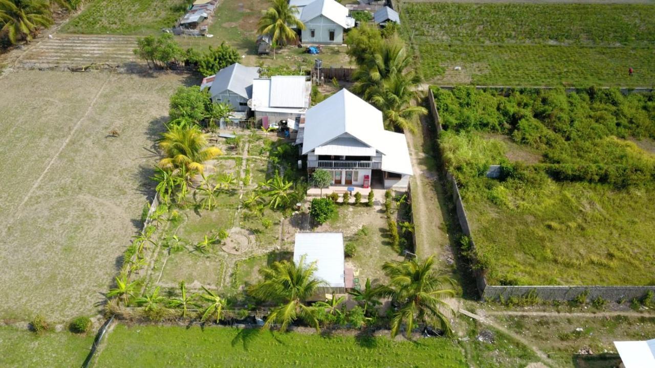 The Daun Puntik Homestay Pemenang Экстерьер фото