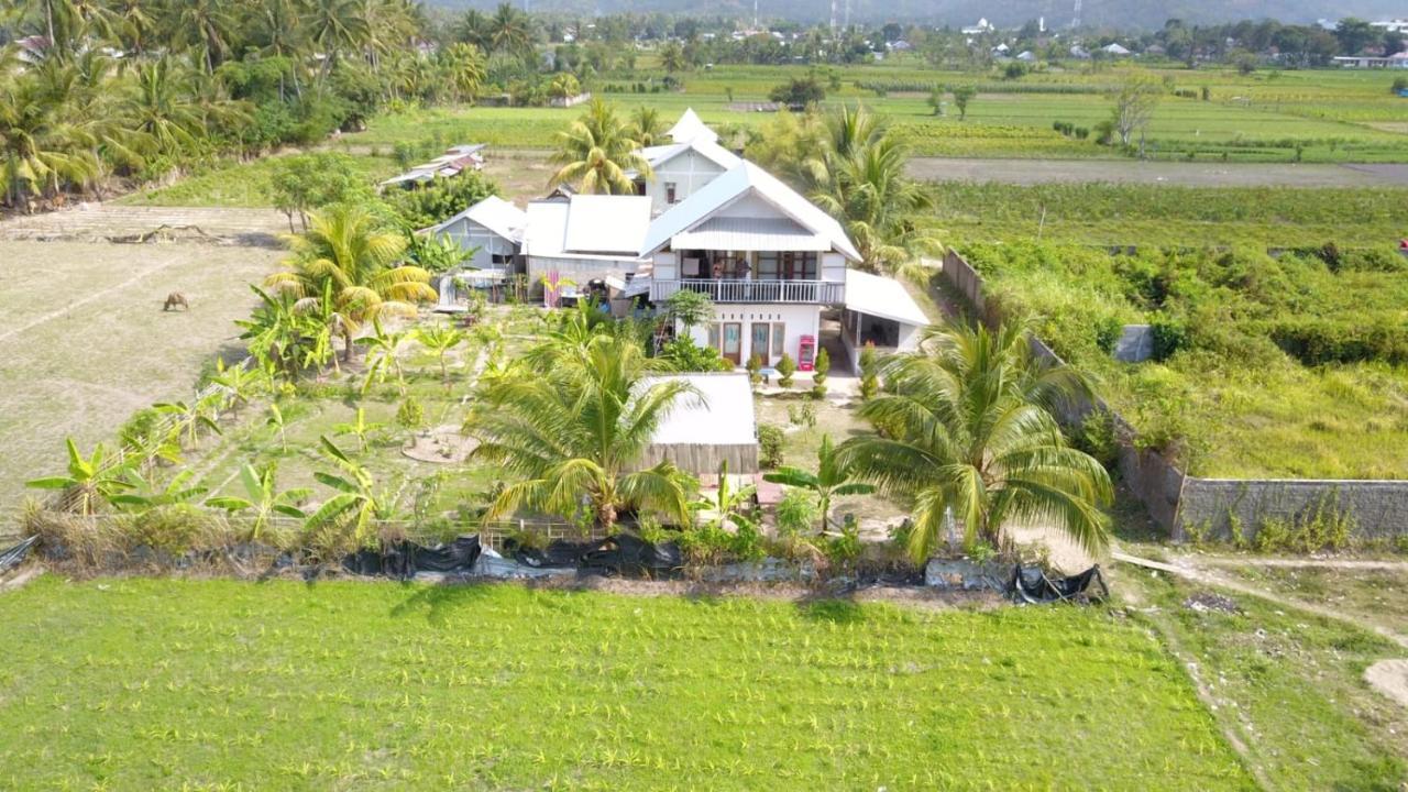 The Daun Puntik Homestay Pemenang Экстерьер фото