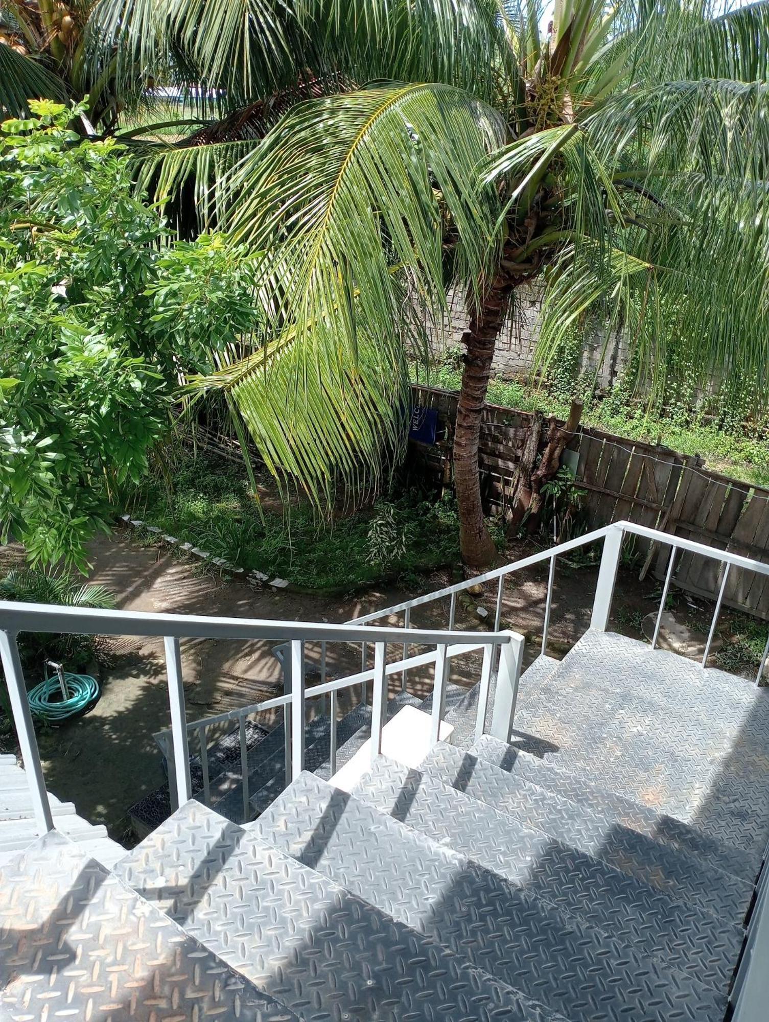 The Daun Puntik Homestay Pemenang Экстерьер фото