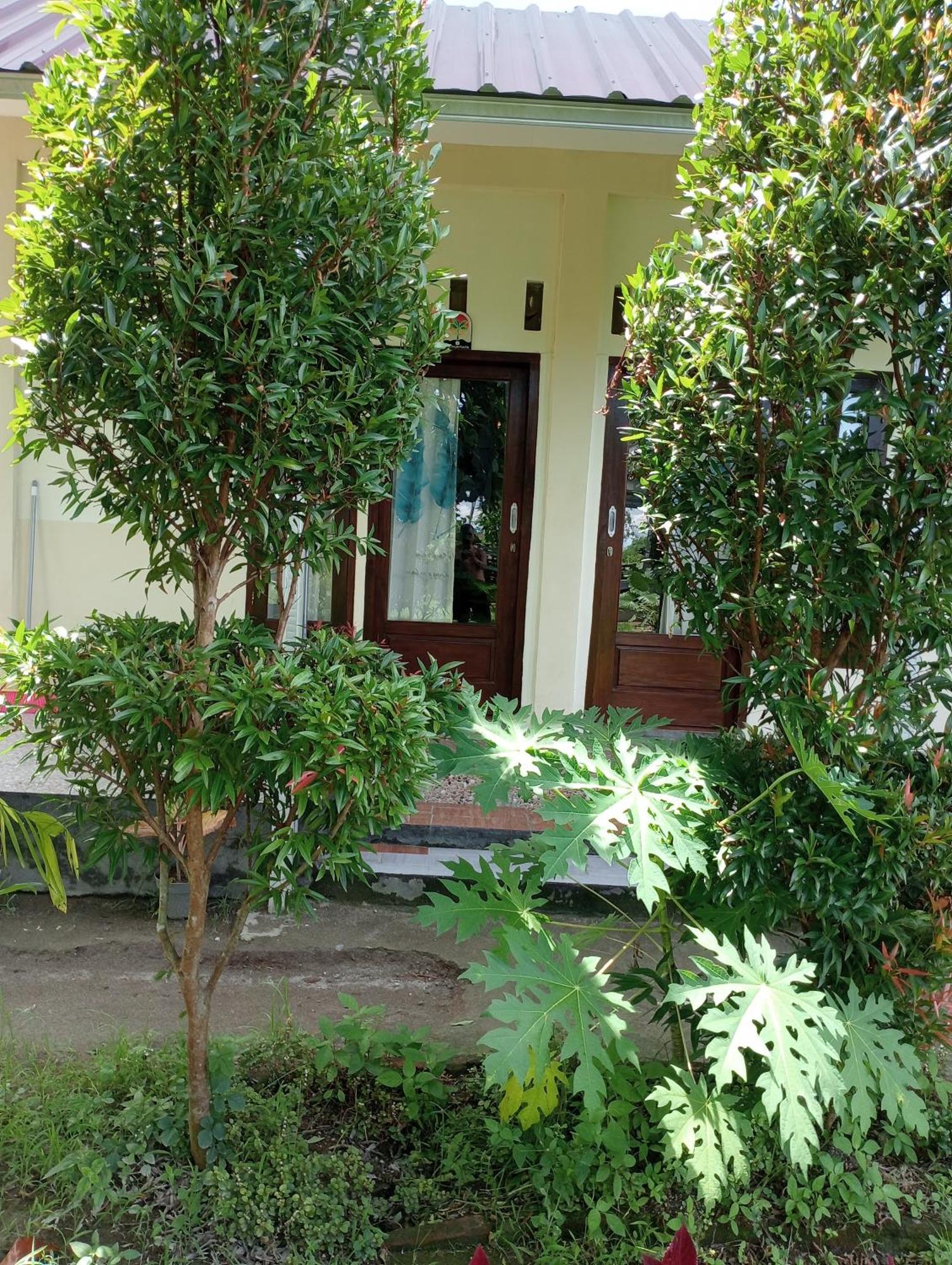 The Daun Puntik Homestay Pemenang Экстерьер фото